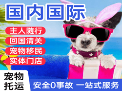 大庆机场快运国际宠物托运 【国